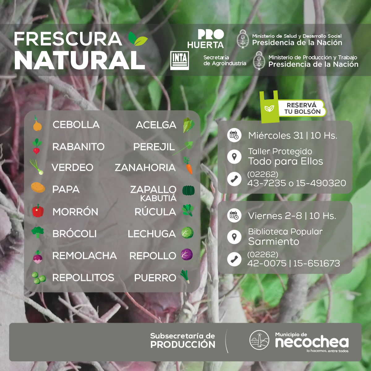 Esta semana, los bolsones de Frescura Natural se expenderán en dos puntos de venta