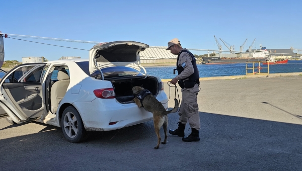 Consorcio, Aduana y Prefectura realizan inspecciones preventivas conjuntas en Puerto Quequén