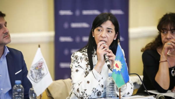 Cáceres expuso en el Consejo Federal de Niñez, Adolescencia y Familia (CoFeNAF)