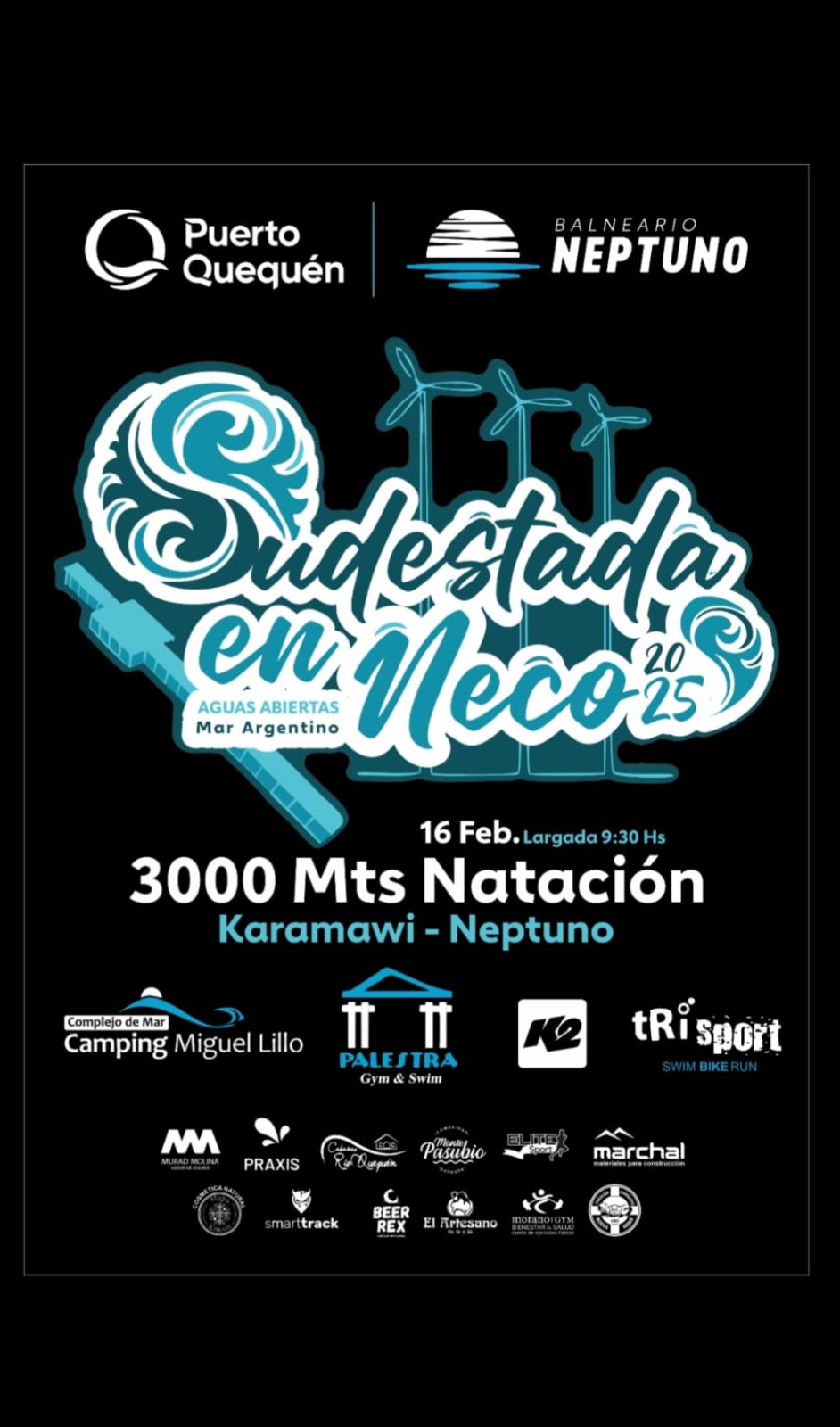 vuelve SUDESTADA EN NECO