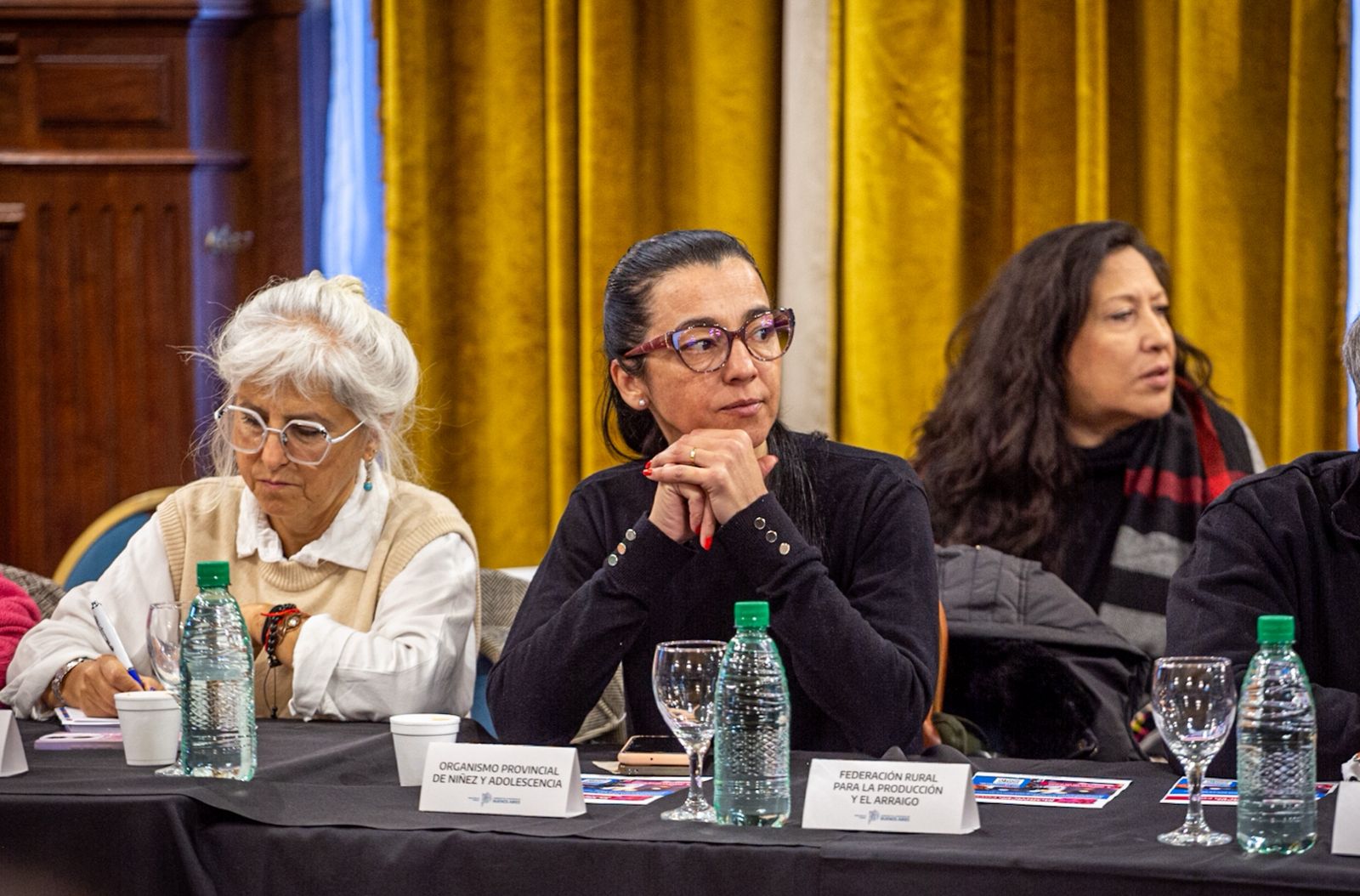 Andrea Cáceres participó de la 51º reunión plenaria de COPRETI en el Día Mundial contra el Trabajo Infantil