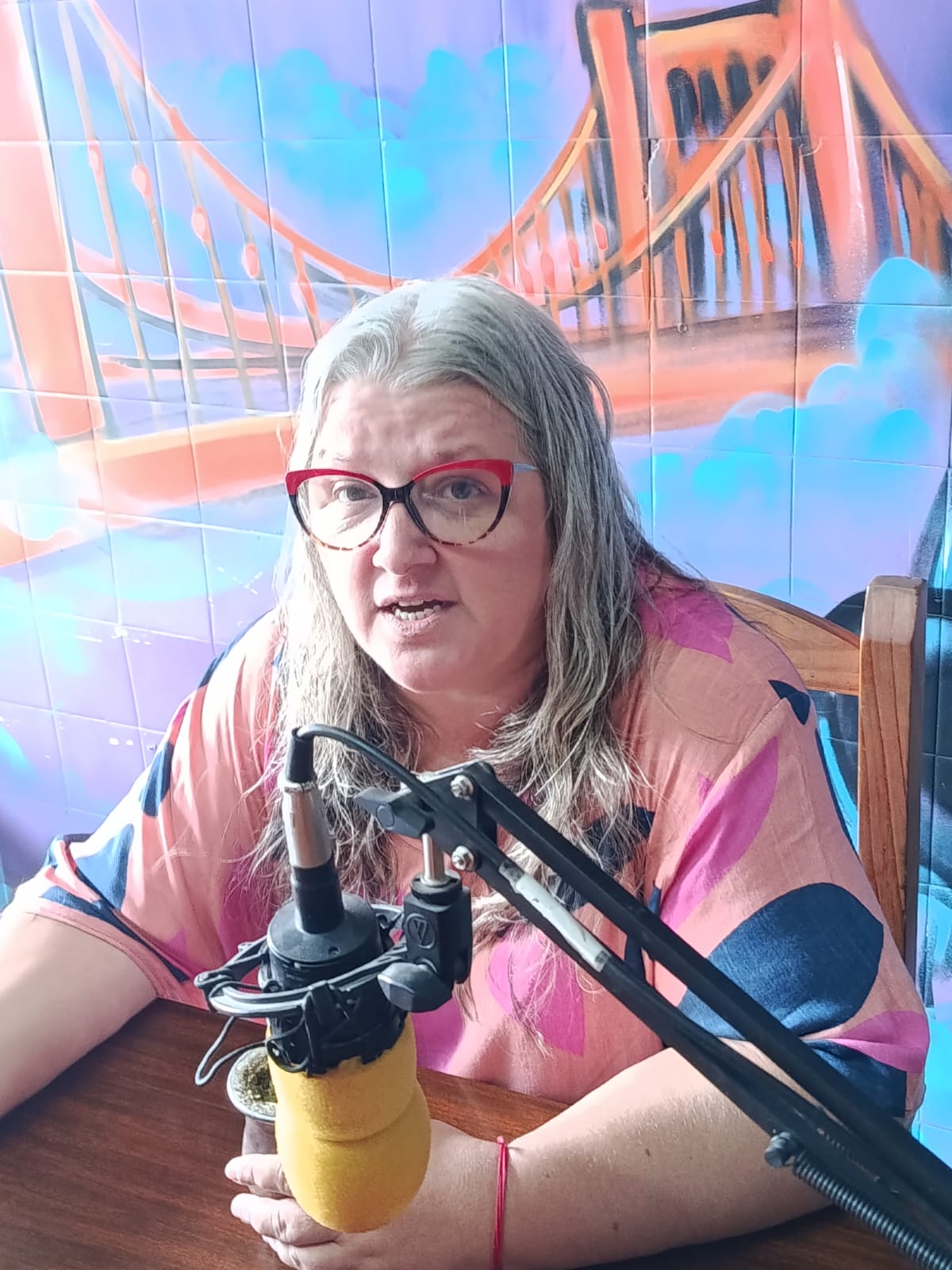 SILVIA BLANCO: “la gran mayoría es gente que necesita una reinserción social, una oportunidad” dijo en referencia a los “trapitos”. 